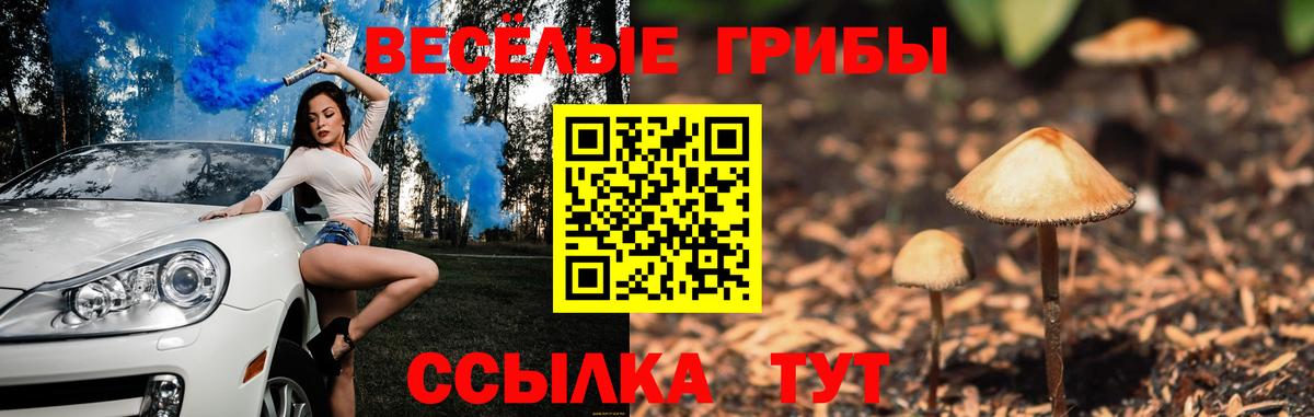 Миллерово  Псилоцибиновые грибы Psilocybine cubensis  Вход с VPN 