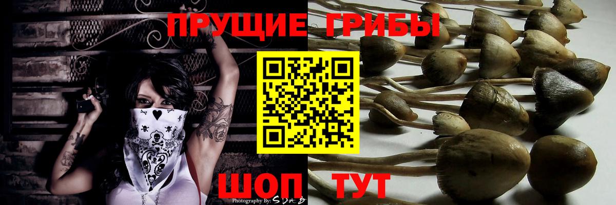 Галлюциногенные грибы ЛСД Миллерово